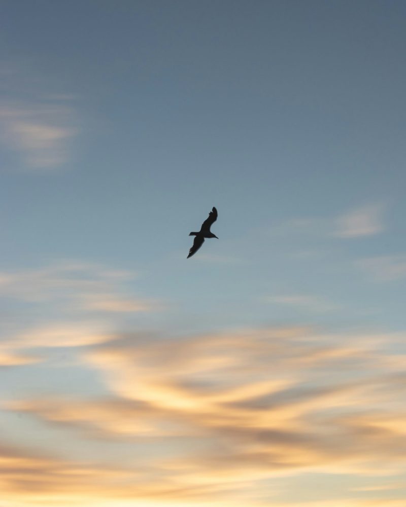 francesco-califano-lsDljFc-8BA-unsplash