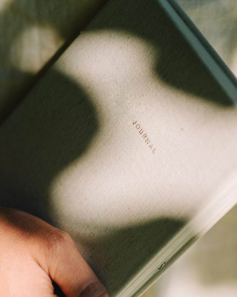 ioana-ye-dIPUn8X8tIs-unsplash